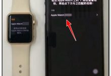 苹果手表如何显示机身码，新版苹果watch微信语音怎么听？